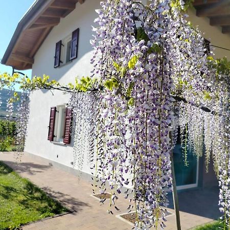 Agritur Lavanda Nave San Rocco Exteriér fotografie