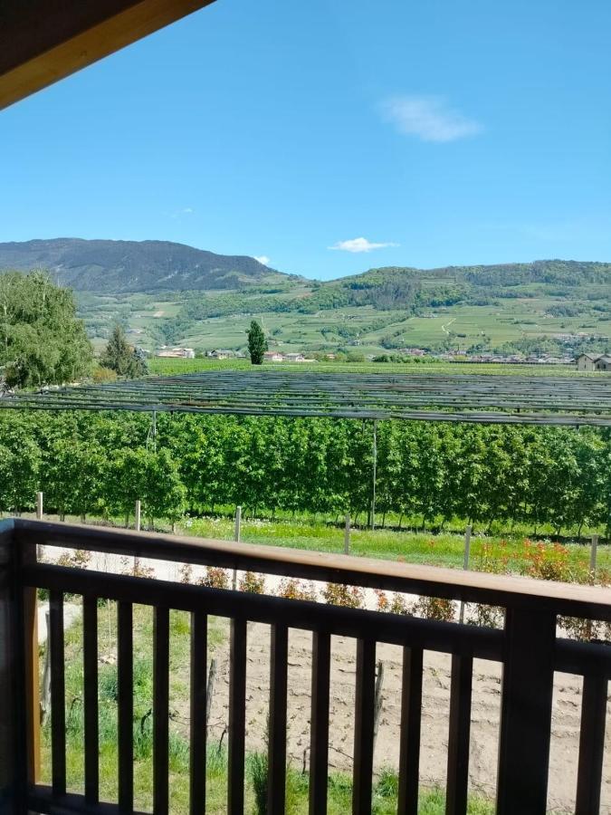 Agritur Lavanda Nave San Rocco Exteriér fotografie