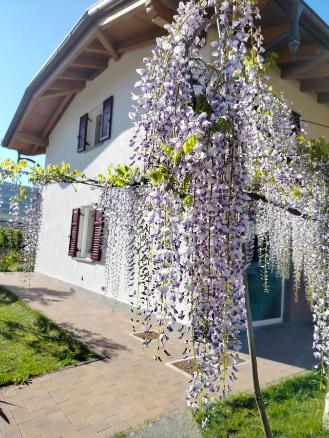 Agritur Lavanda Nave San Rocco Exteriér fotografie