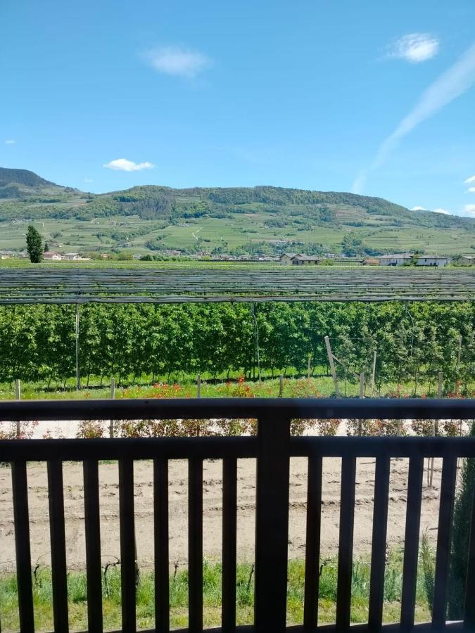 Agritur Lavanda Nave San Rocco Exteriér fotografie